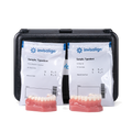 Invisalign™ Typodont, Class I Occlusion
