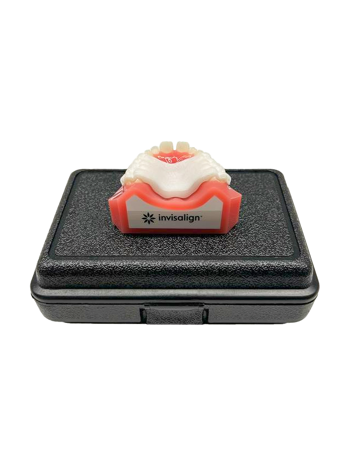 Invisalign™ Palatal Expander Upper Arch Typodont