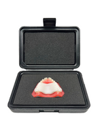 Invisalign™ Palatal Expander Upper Arch Typodont