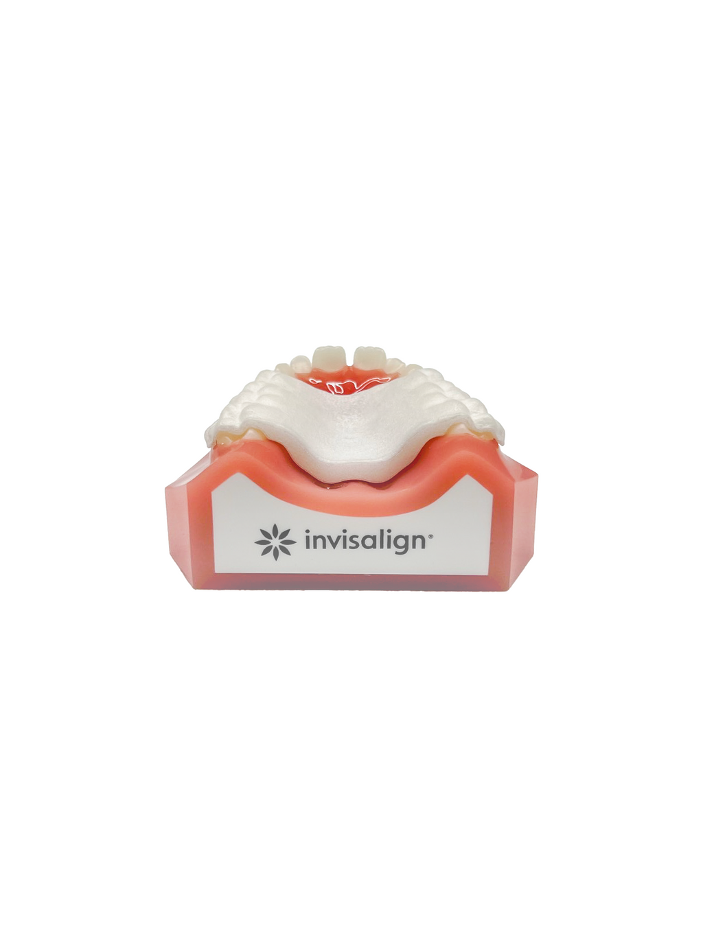 Invisalign™ Palatal Expander Upper Arch Typodont