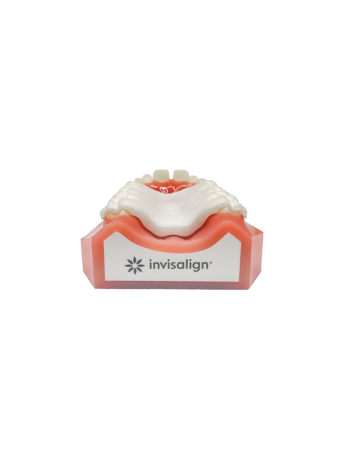 Invisalign™ Palatal Expander Upper Arch Typodont