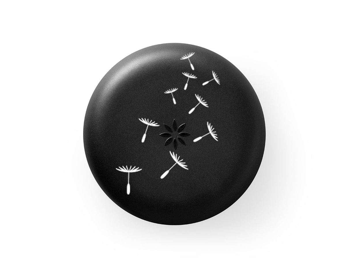 Invisalign aliger case design dandelions
