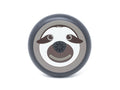 Sloth Invisalign aligner case